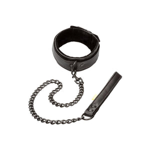 Boundless Collar and Leash-Katys Boutique